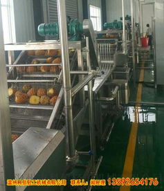 河南6000型果蔬汁饮料加工设备 高效制浆之旅，业界智慧结晶